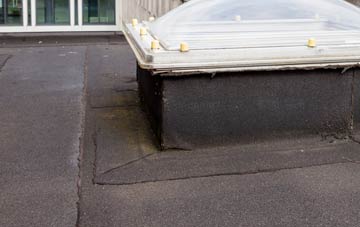 disadvantages of Warminster Common flat roofs