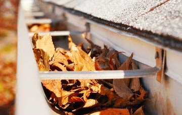 Warminster Common gutter cleaning companies