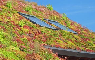 Warminster Common living roof systems