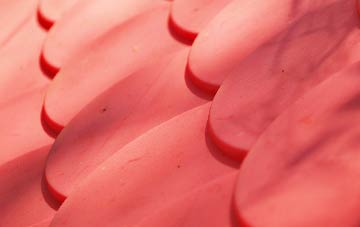 Warminster Common plastic roof costs