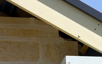 soffit repair Warminster Common